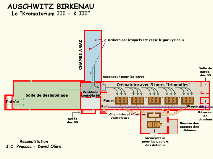 Auschwitz Birkenau : Plan du K III ou Krématorium III daprès David Olère