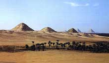 Abousir: les pyramides de Neferorkaré, de Niousseré et de Sahourè. Au fond, le plateau de Guizeh. (Site Egypte antique)