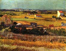 Vincent Van Gogh : jardins de maraîchers dans la Crau. Juin 1888. Huile sur toile, 72,5 x 92 cm. Amsterdam, Rijksmuseum Vincent Van Gogh