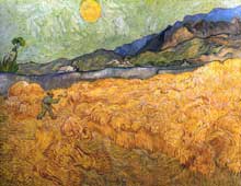 Vincent Van Gogh : Champ de blé. Début juillet 1889. Huile sur toile, 74 x 92 cm. Amsterdam, Rijksmuseum Vincent van Gogh