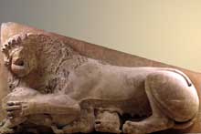 Athènes : petit édifice archaïque de lAcropole : fronton représentant une lionne dévorant un veau. 110 x 322 cm. Vers 590-580. Athènes, Musée de lAcropole.  (Art grec)