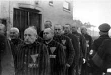 Détenus du camp de concentration de Sachsenhausen