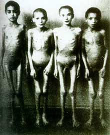 Auschwitz I : enfants rescapés victimes des expériences