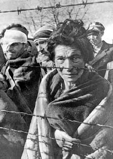 Auschwitz I : détenus derrière les barbelés peu après leur libération