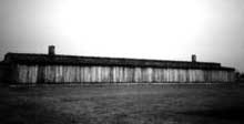 Auschwitz-Birkenau: baraque de type « écurie »