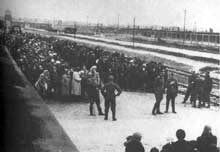 Auschwitz-Birkenau : une sélection sur la « Judenrampe ». Il s’agit de la Judenrampe aménagée en 1944 à l’intérieur même de Birkenau