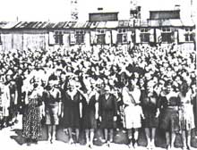 Auschwitz-Birkenau : un appel