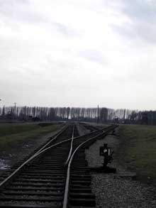 Auschwitz-Birkenau : la « Judenrampe »