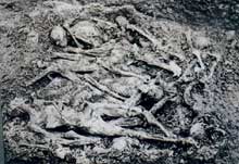 Bisingen en Bade-Wurtemberg, camp-commando de Natzwiller – Struthof : fosse commune, 1946