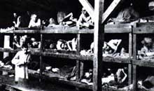 Buchenwald : baraque lors de la libération du camp