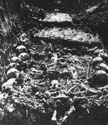 Schörzingen en Bade-Wurtemberg, camp-commando de Natzwiller – Struthof : fosse commune découverte en 1946