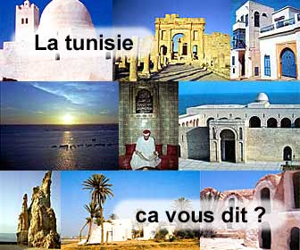 La tunisie, villes, villages, sites antiques...le guide!